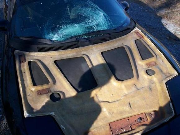 fiberglass hood was "Liquid Nails-ed" to the attached hood..

we had no idea, untill it flew off