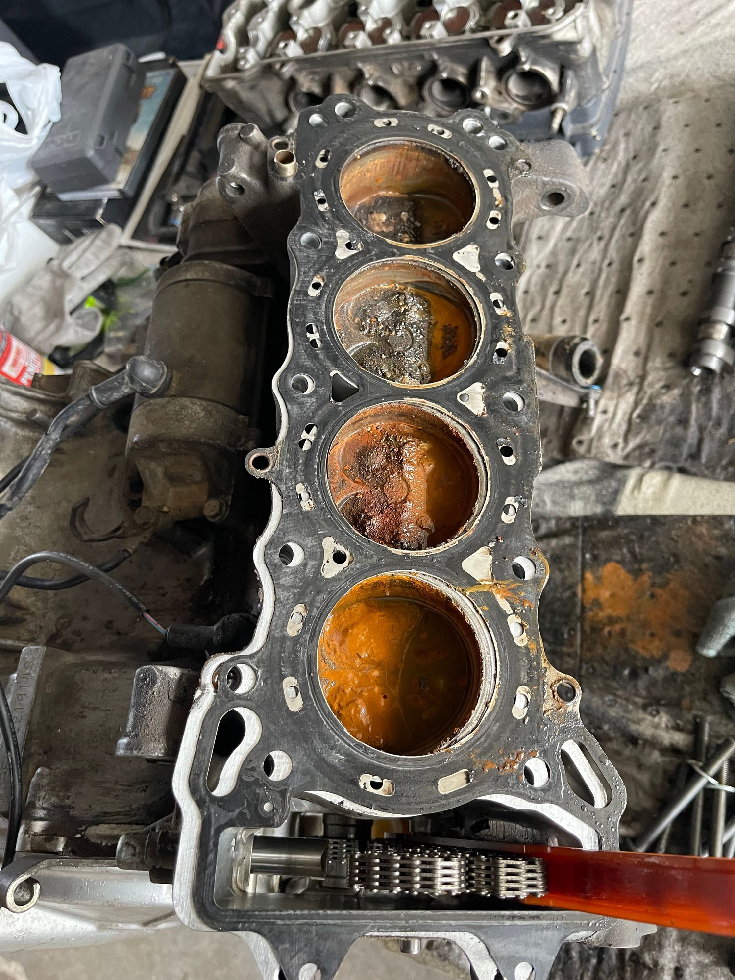 Rust!