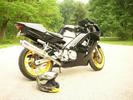 1997 F3 CBR 600