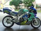 CBR 900RR Dragon Bike