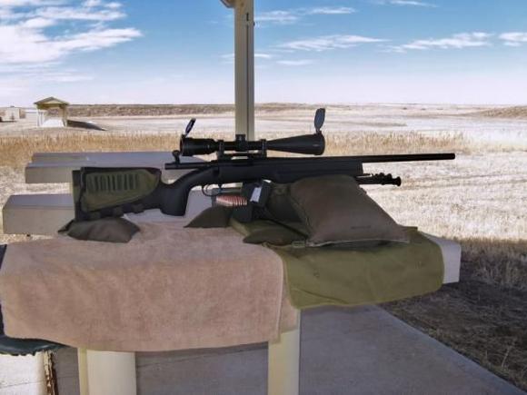 Remington 700 ~ .308