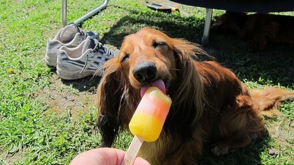 it was really hot