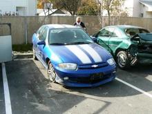 Rolled Cavalier