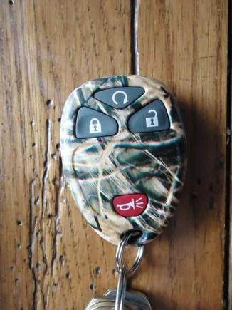 camo remote