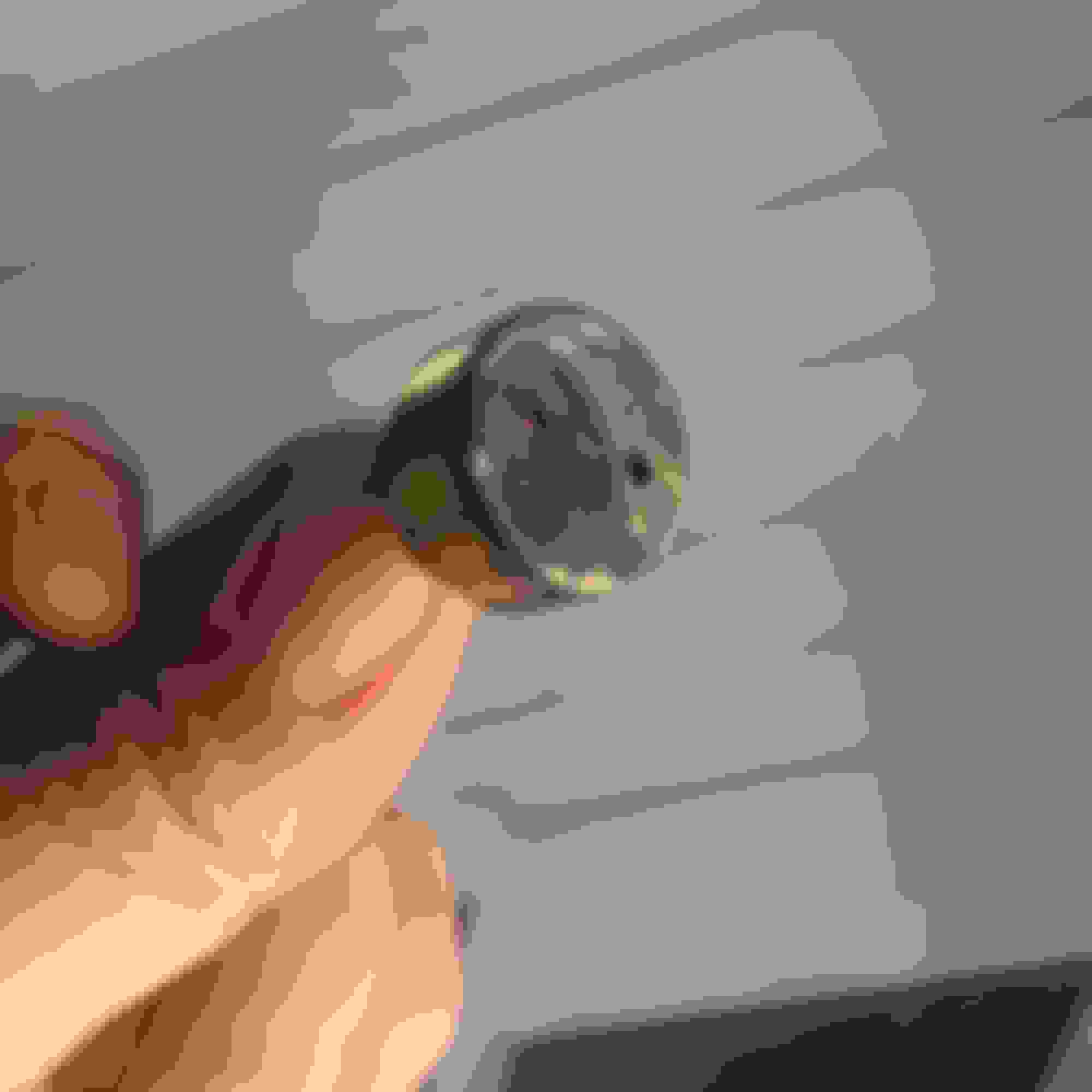 R4 AC Compressor Super Heat Switch