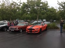  Mustang bunch