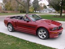 2008 mustang gt cs conv.