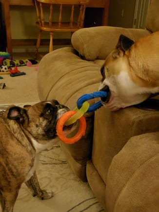Tug-of-Wars that last a half-hour are a favorite game.
