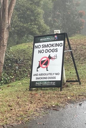 Damn, I wanna see a smoking dog 