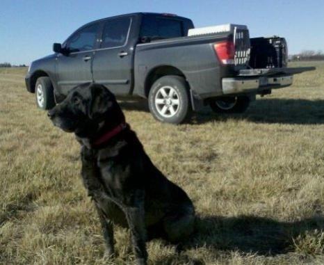 My dog Drake and my Titan in the background.