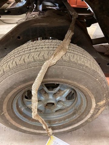 Had many snakes and mice living inside.  Heres a nice remnant from a large black snake.