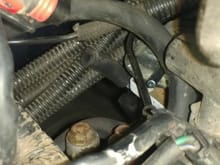The cat plugged  and blew hot exhaust through the black hose melting the EGR transducer and another vacuum line.