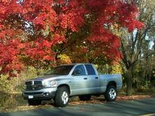 My Work Horse