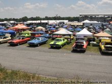 DSC 0239