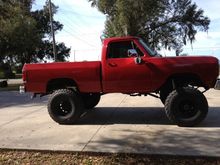 big dog