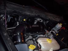 new intake