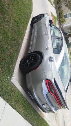 Taillight tuesday