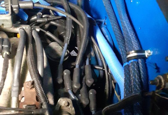 This area sucks, keep em off exhaust