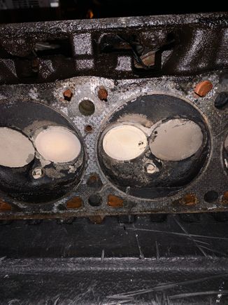 I guess not what I was expecting. Doesn’t look too bad huh? 