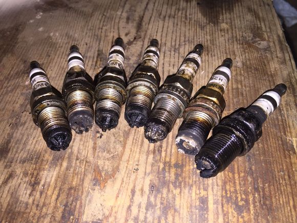 7 of 8 plugs. The 8th was so covered in oil that we threw that away.