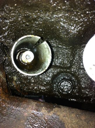 First tune up in five years truck did fire right up tho I got it out btw and cleaned her up