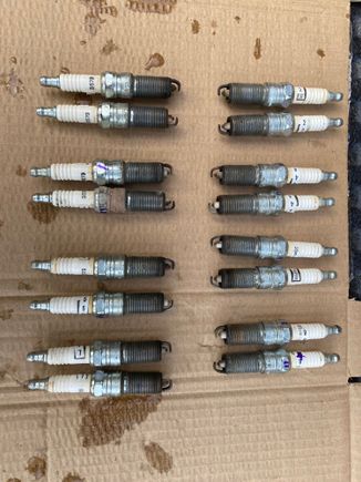 left side from top 1,3,5 and 7 cylinder 
right side from top 2,4,6 and 8 cylinder 
both side from top are first-second spark plug