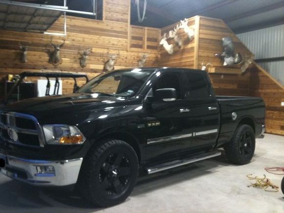 All shinned up parked by all the forein mounts