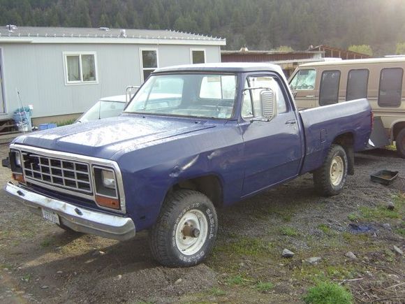 brute 2005