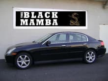Garage - The Black Mamba