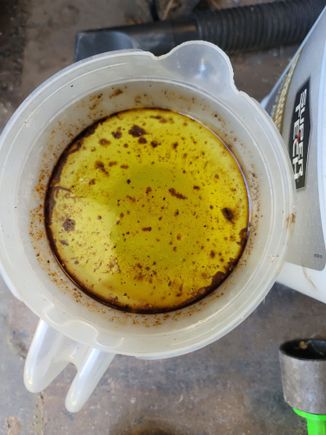 Oil in coolant?