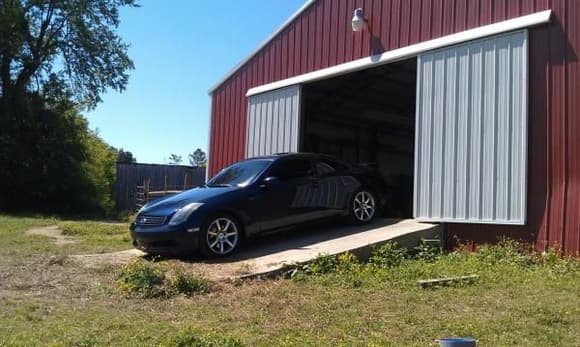 Gale peeping out of my buddy's barn. &lt;3