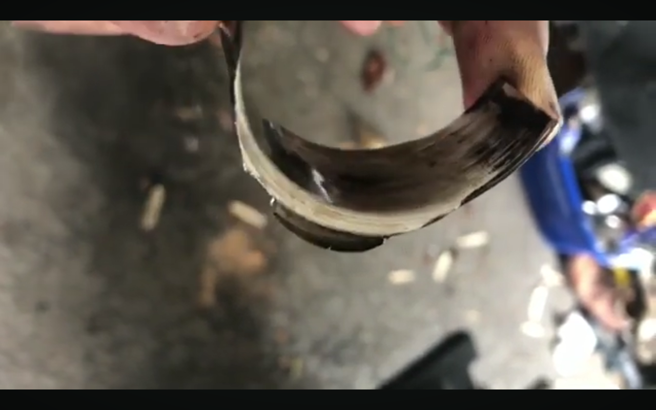 Extremely Squished out rod bearing H22A