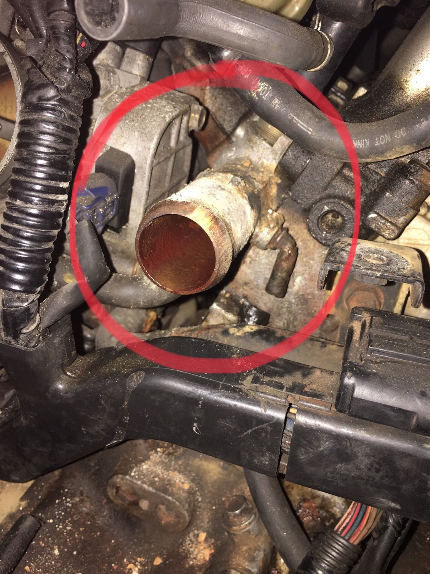 engine-honda-crv2004-honda-tech-honda-forum-discussion