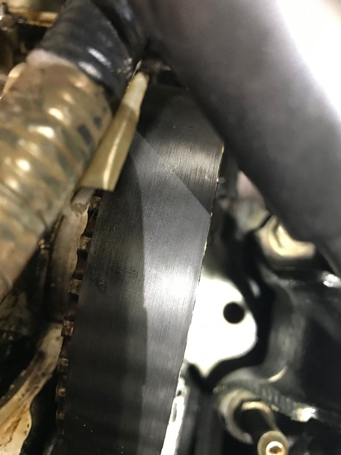 Timing Belt Inspection HondaTech Honda Forum Discussion