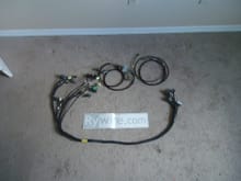 Rywire budget harness