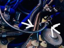 Arrows showing areas in path of strut 