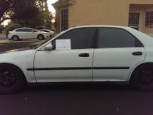 My Post Pictures