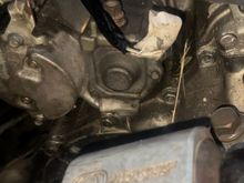 Picture of my starter, does the orientation of the plug matter? 