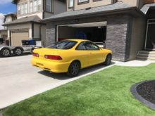 getting some much needed sun, poor thing hasn't seen sunlight in five almost six full years.