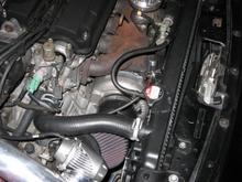 IMG 0065