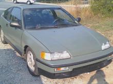 rex front