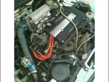 teg5