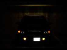 todaypic7 1