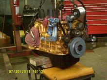 Nice fresh coat of Gold and blue