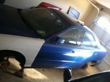 photo(11)