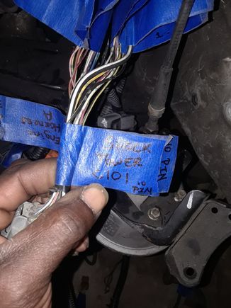 J32 c101 shock tower plug  fully labled as diagram calls for (2 blk/ylw that get mended into 1)