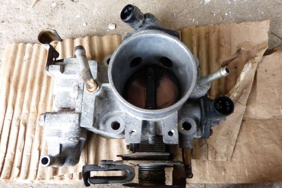 Failing to get the mouse out of the throttle body, I removed it.