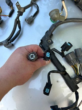 Harness 2 with this plug ? 