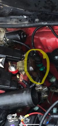 This plug to be specific