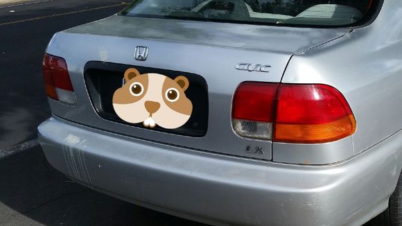 Excuse the Pterodactyl poop..